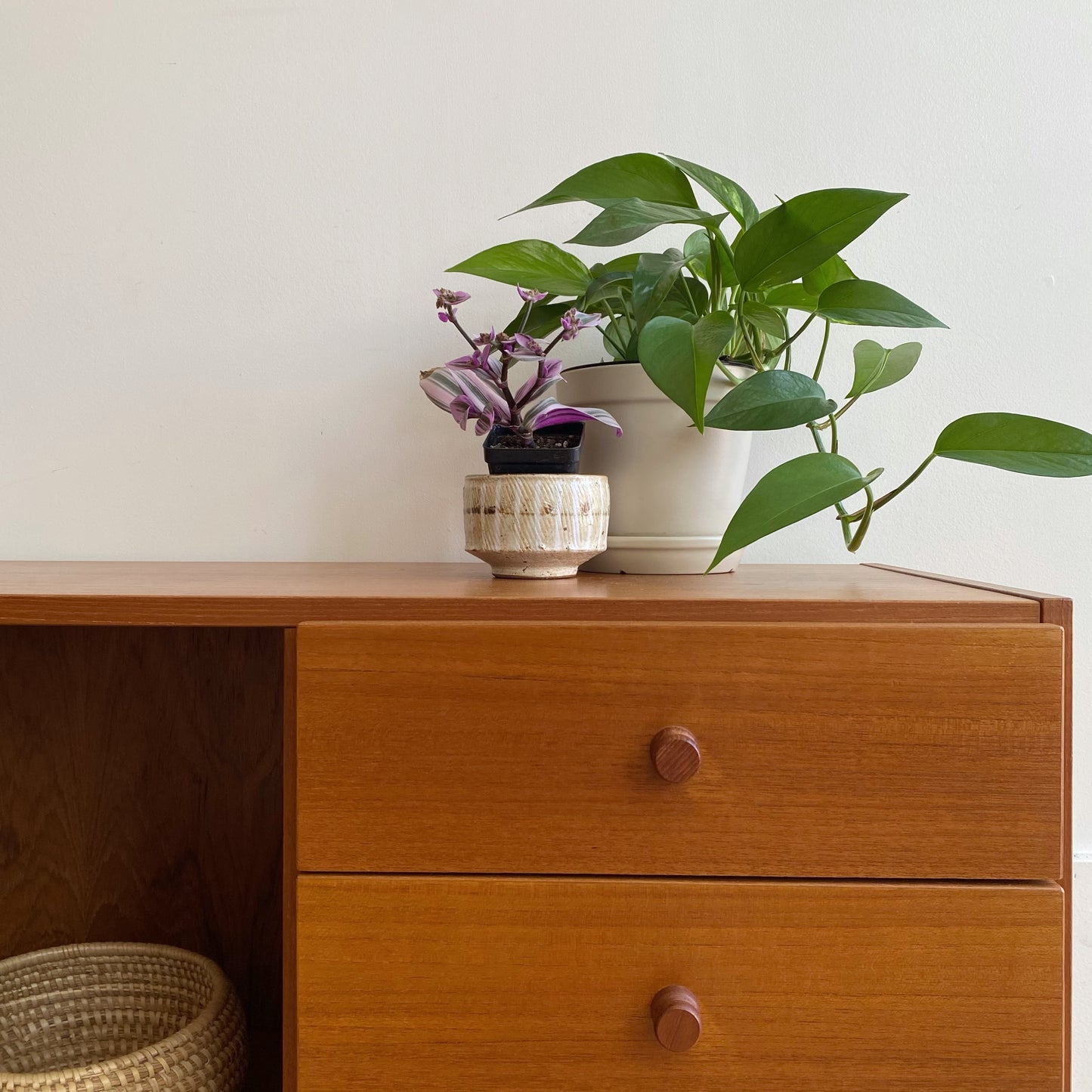 Petite Vintage Danish Teak Cabinet / Media Stand