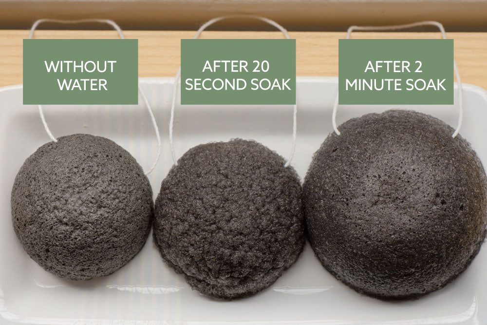 Luna Charcoal Facial Sponge