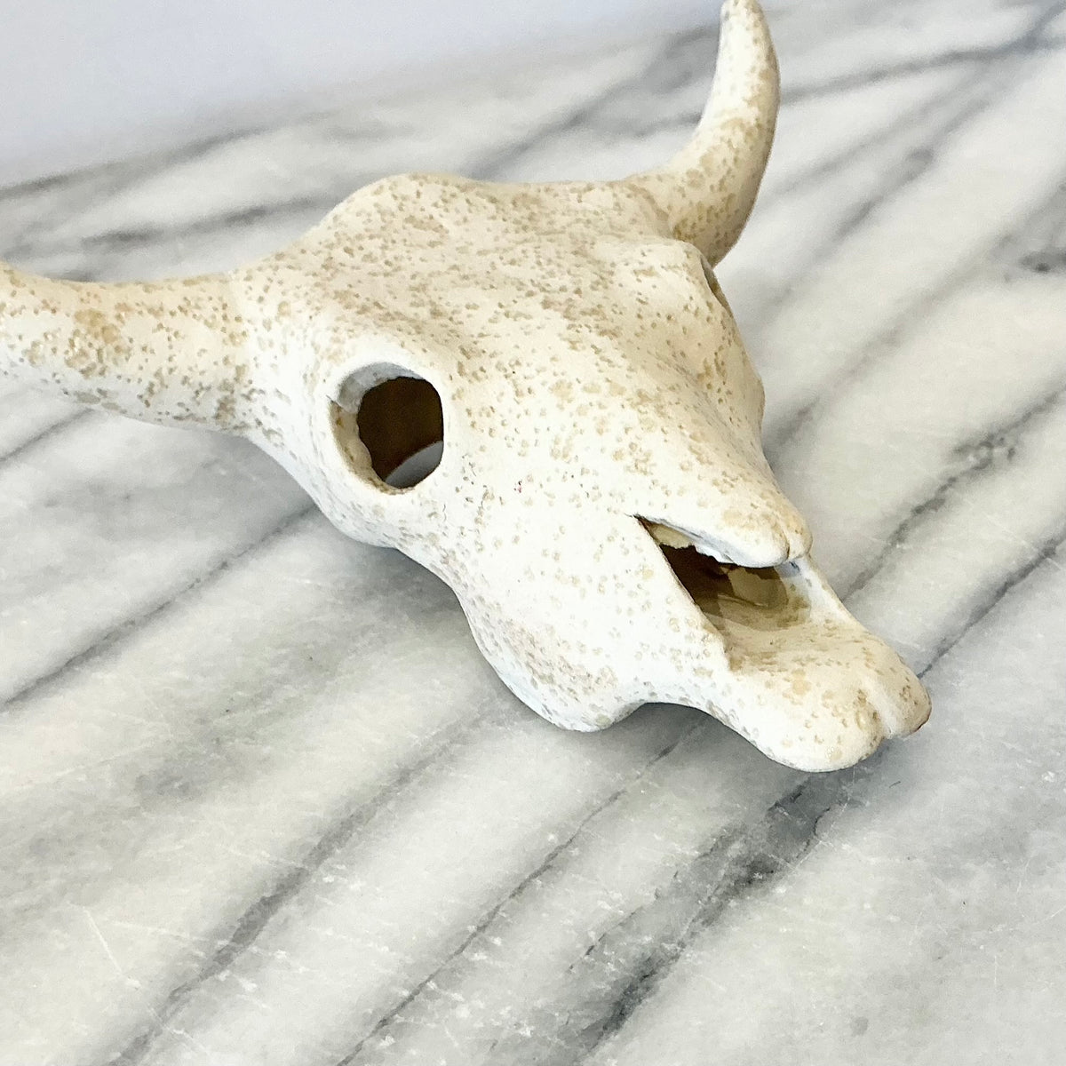 Small Ceramic Skull, 4.5"