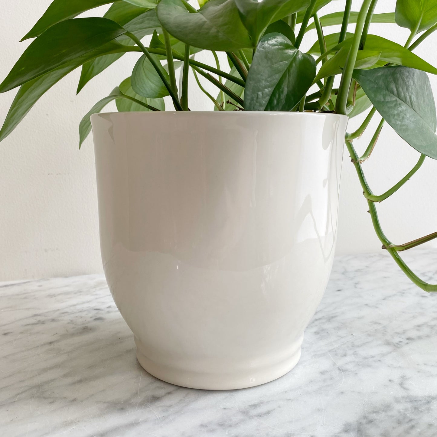 Found Elegant White Ceramic Planter