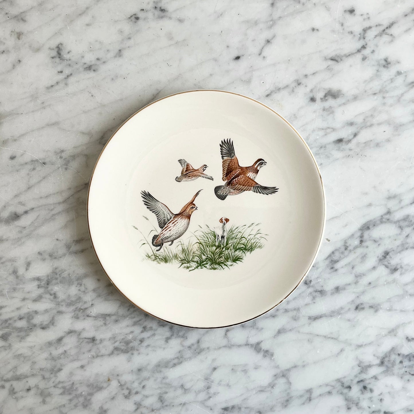 Vintage Decorative Bird Plate, Choose