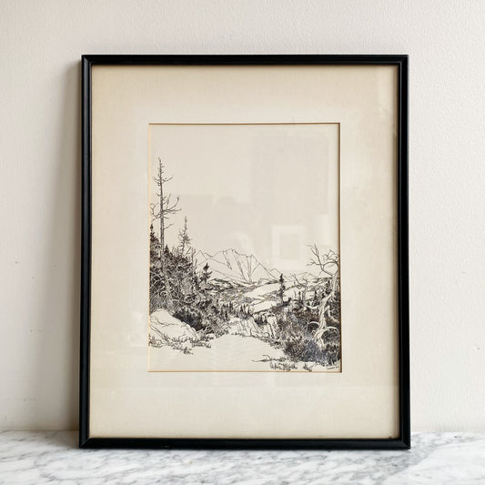 Vintage Framed Nature Etching Print (14 x 17)
