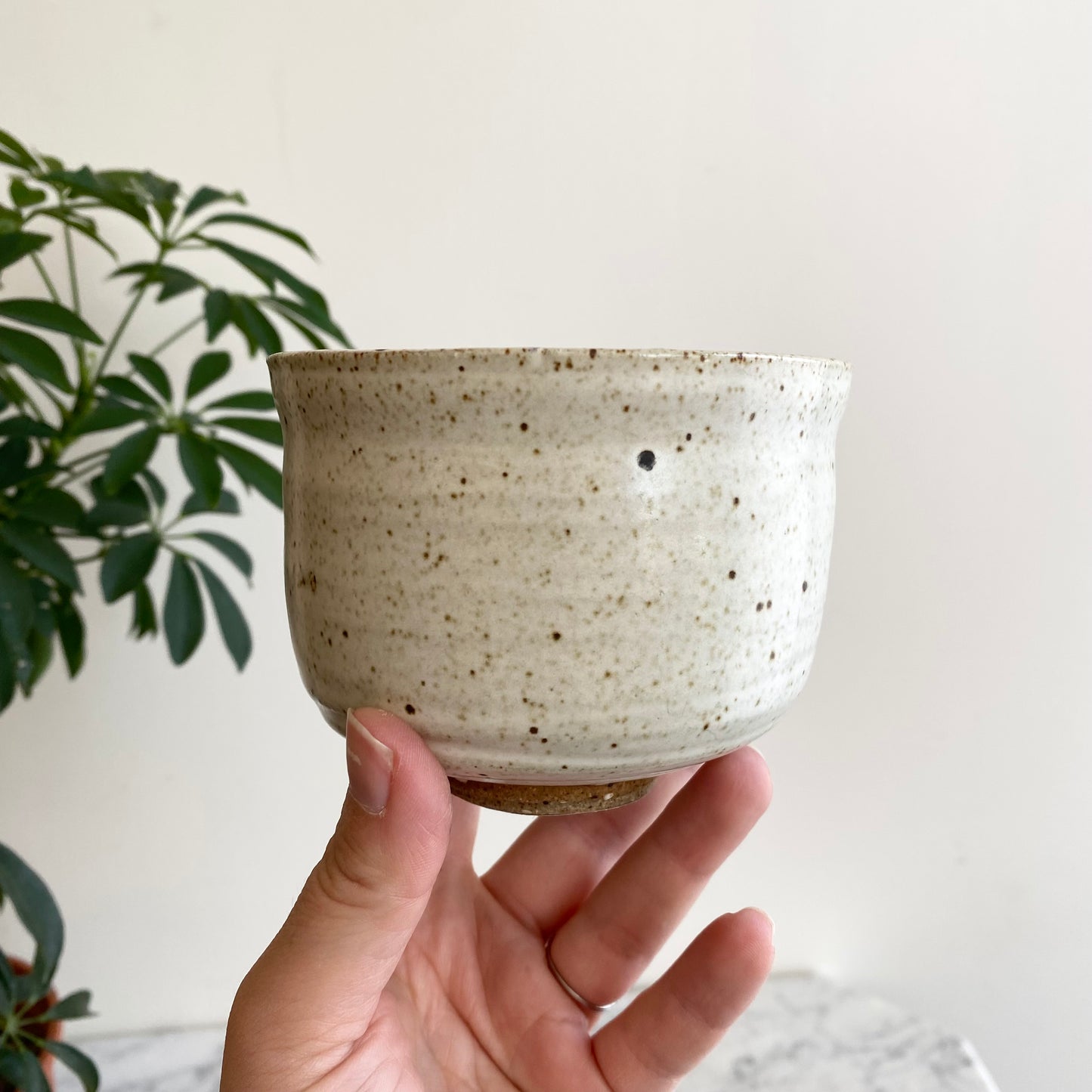 Haus Theory x Burn Boss (013)