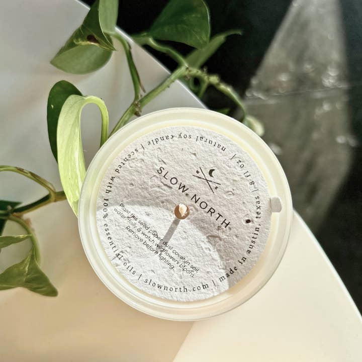Forest Bathing (Fir, Pine, Patchouli) Candle, 8 oz