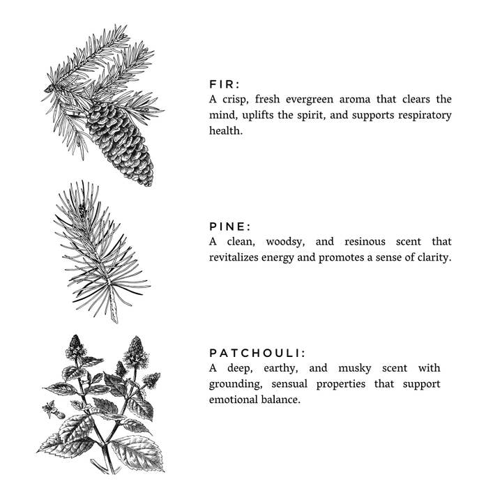 Forest Bathing (Fir, Pine, Patchouli) Candle, 8 oz