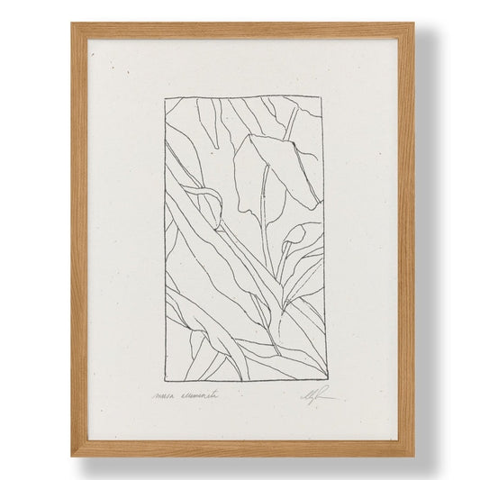 "Musa Acuminata" Art Print (8.5 x 11)