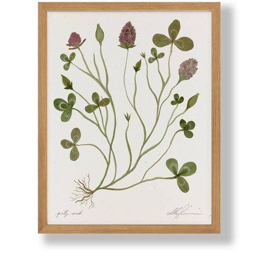 "Pretty Weeds" Art Print (8.5 x 11)