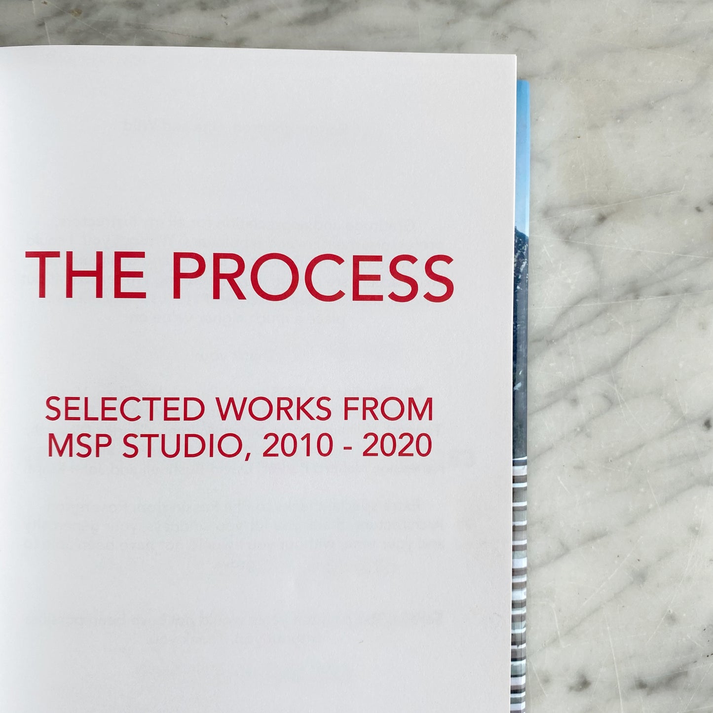 Book: The Process