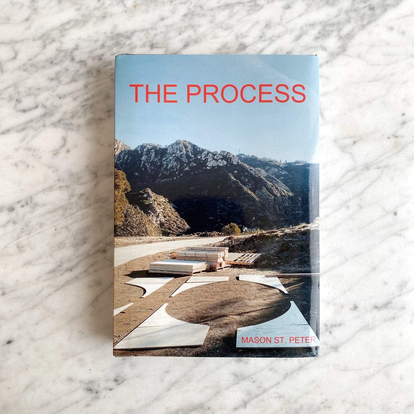 Book: The Process