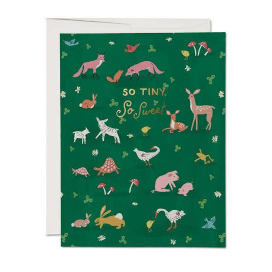 So Tiny So Sweet Card