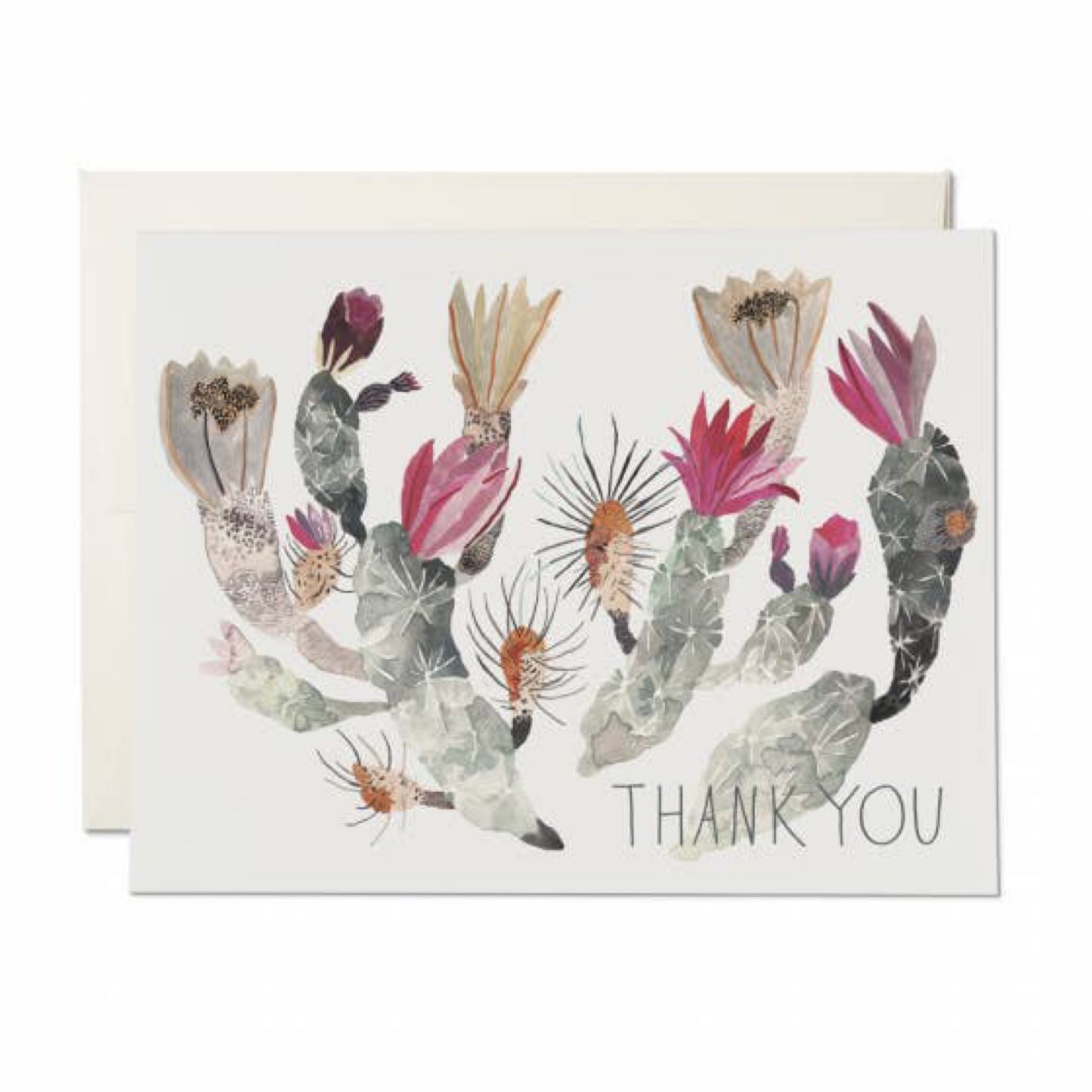 Thank You Pink Cactus Card