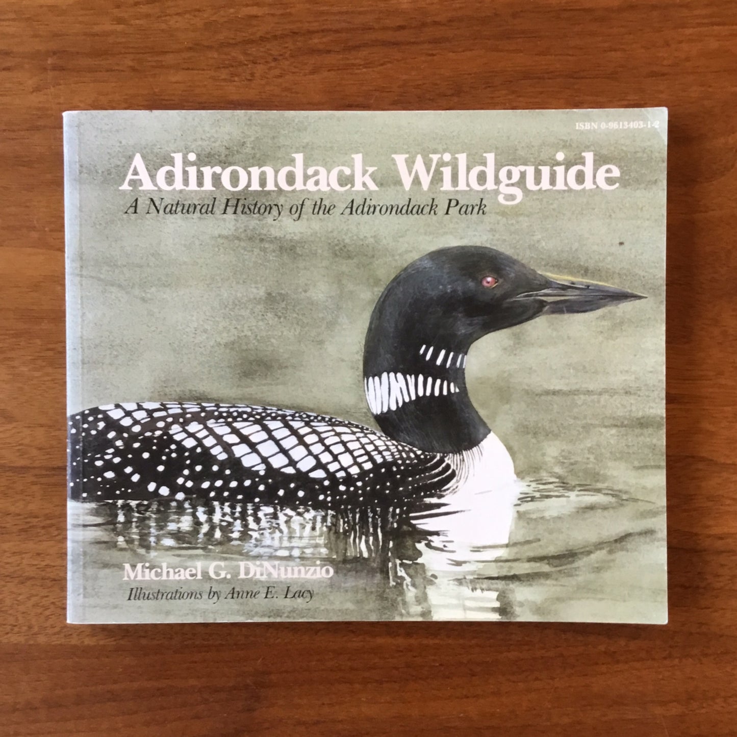 Book: Adirondack Wildguide