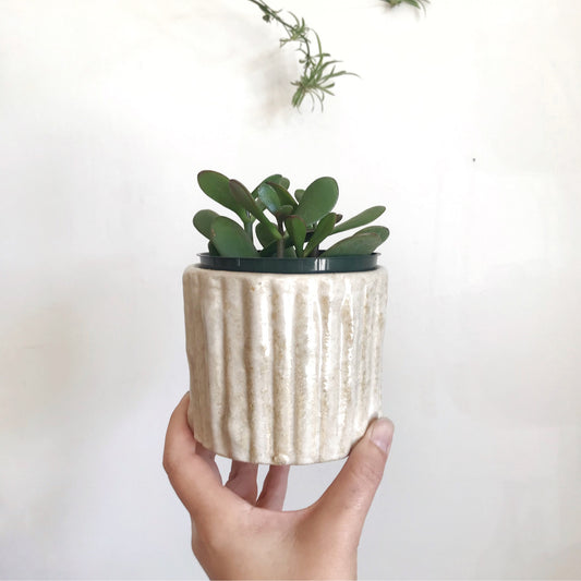 Vintage Planter, Bamboo Texture