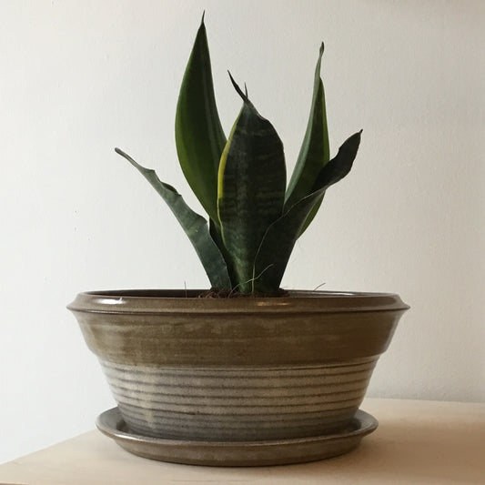 Clay Planter Bowl