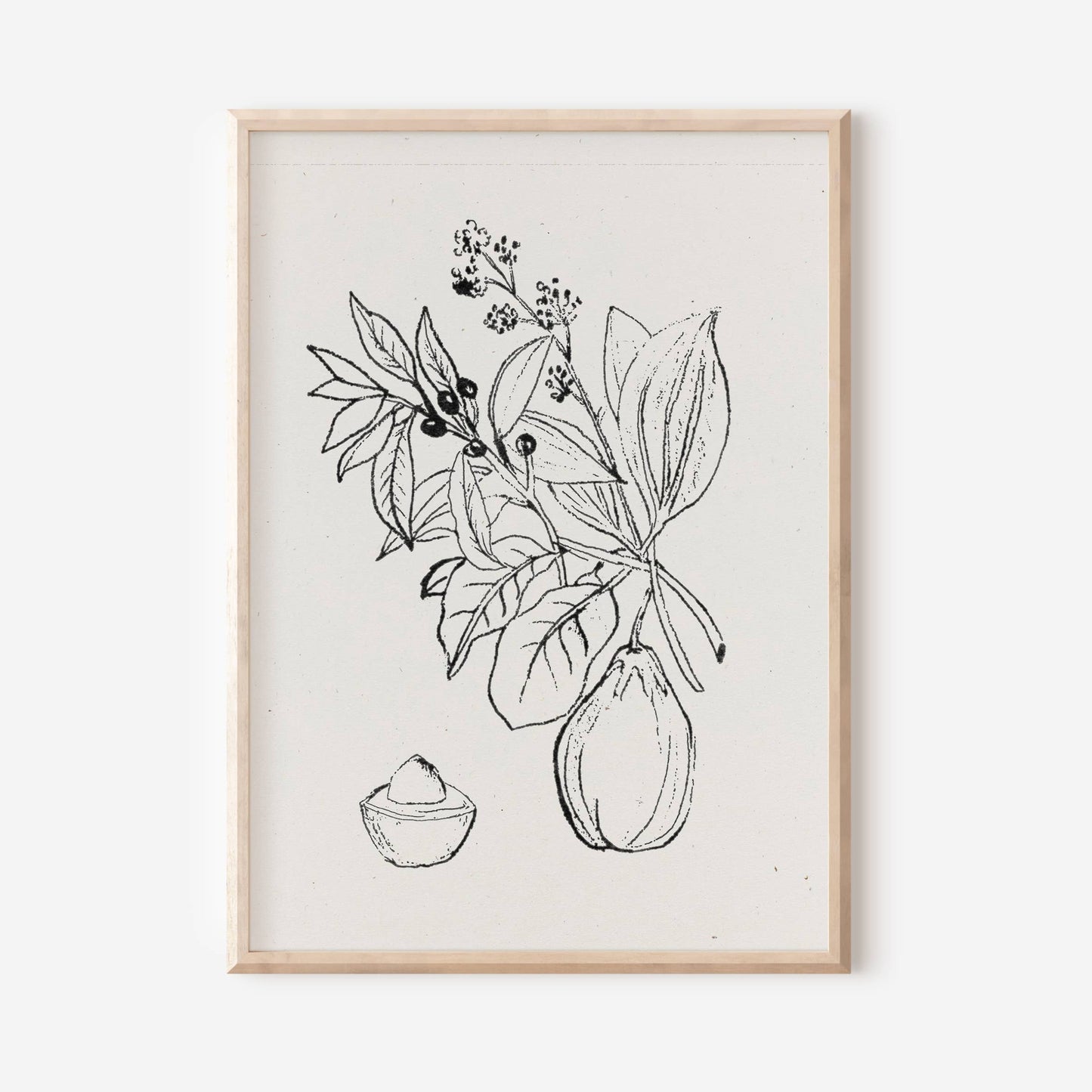 "Avocado Botanical" Art Print (8.5 x 11)