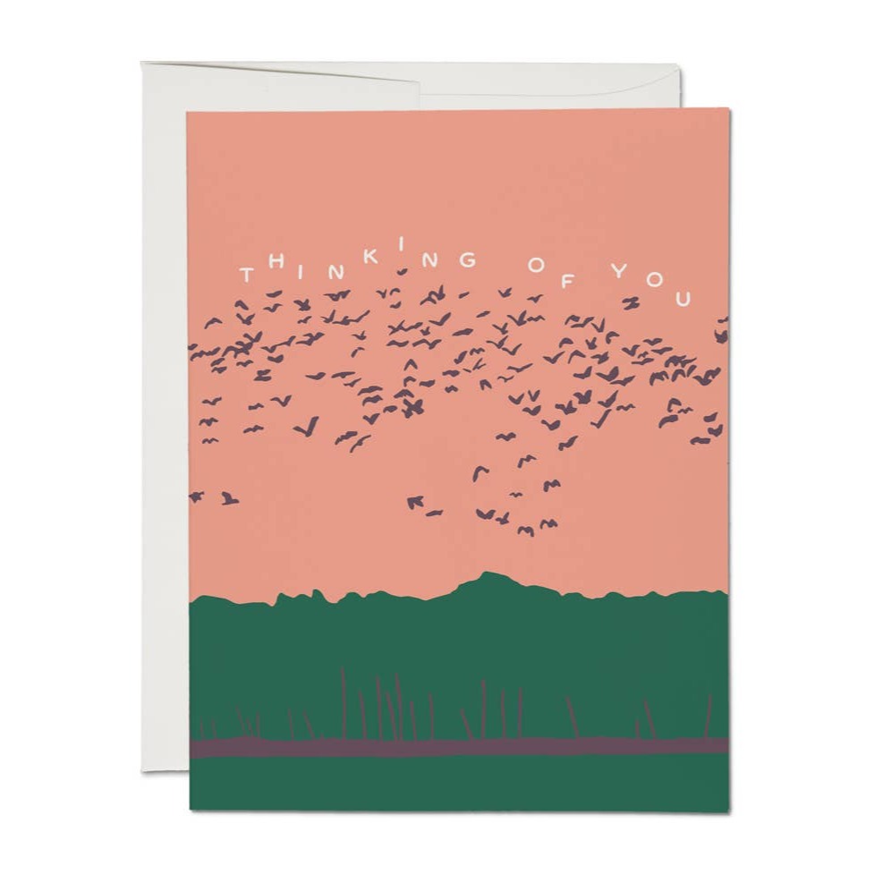 Greeting Card: Thinking of You Birds