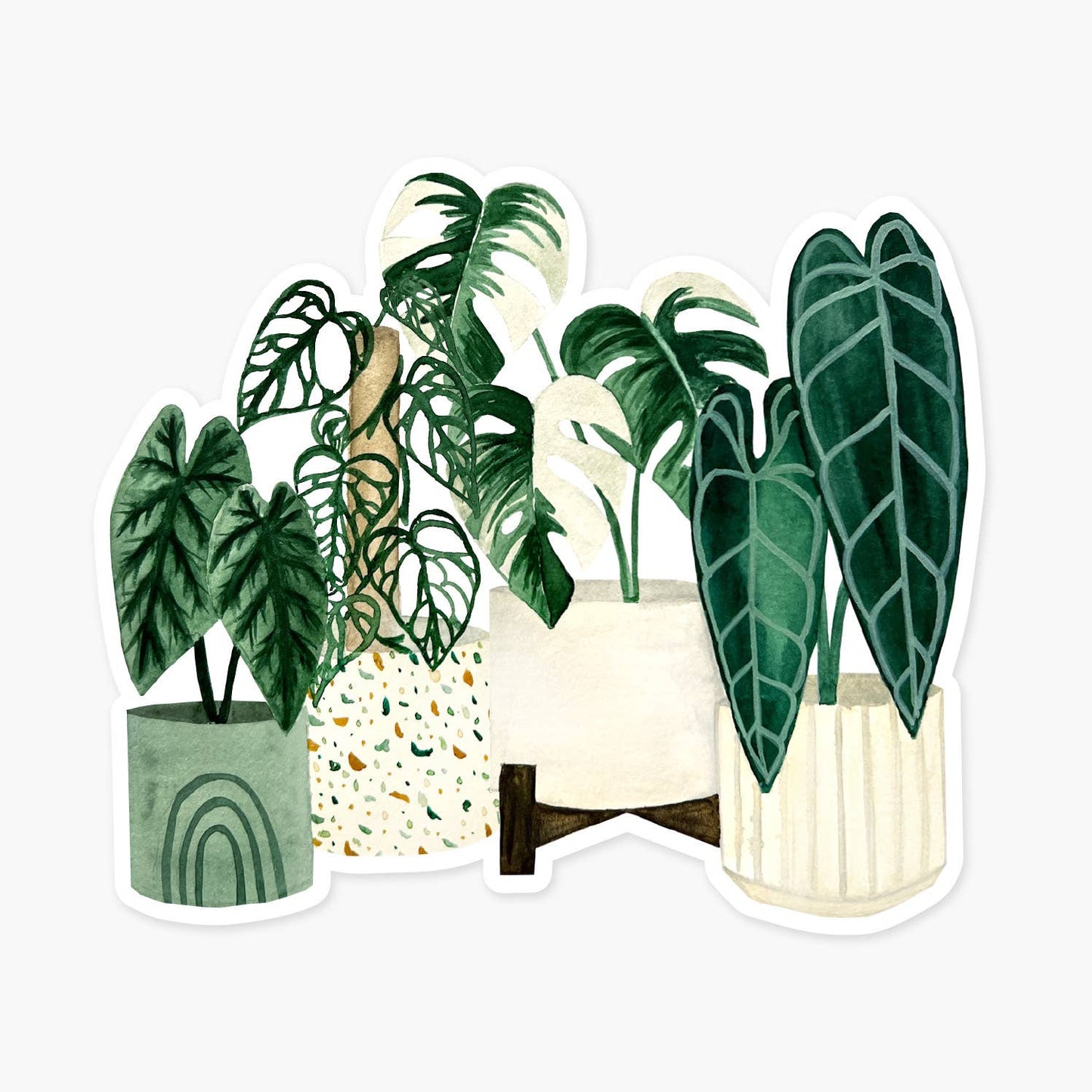 Rare Plants Sticker