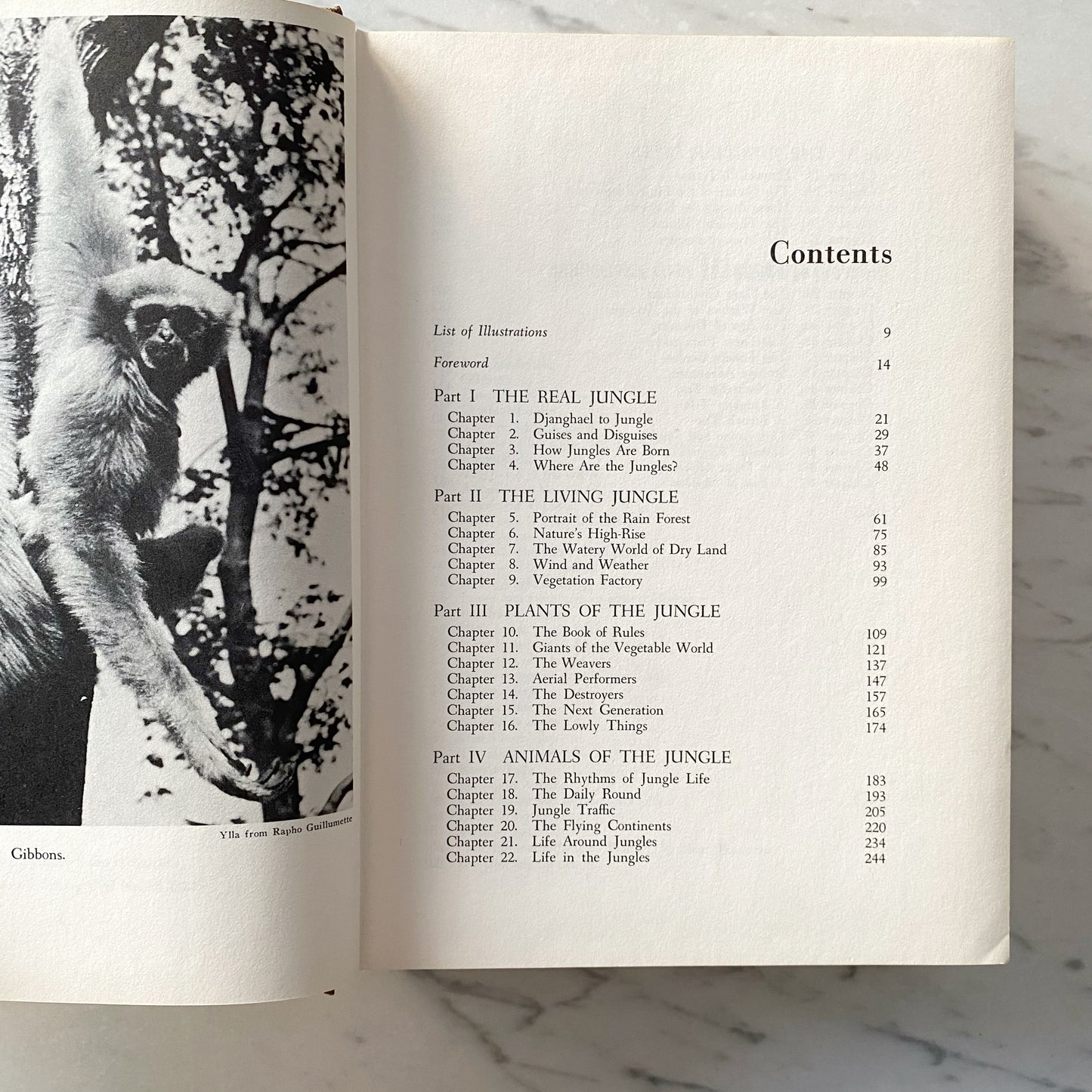 Book: Book of Great Jungles (1965)