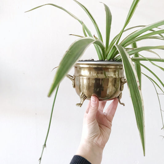 Vintage Footed Brass Planter