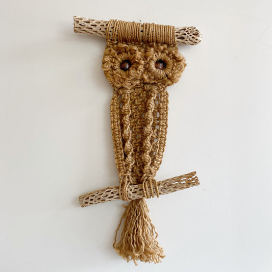 XL Vintage Macrame Owl with Dried Cactus