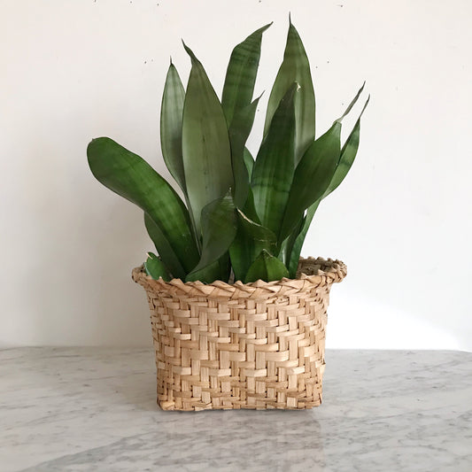 Vintage Natural Woven Basket, Ecuador