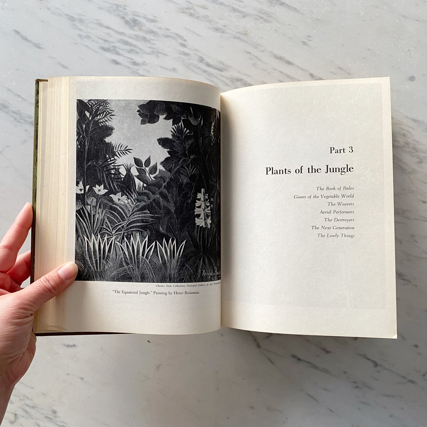 Book: Book of Great Jungles (1965)