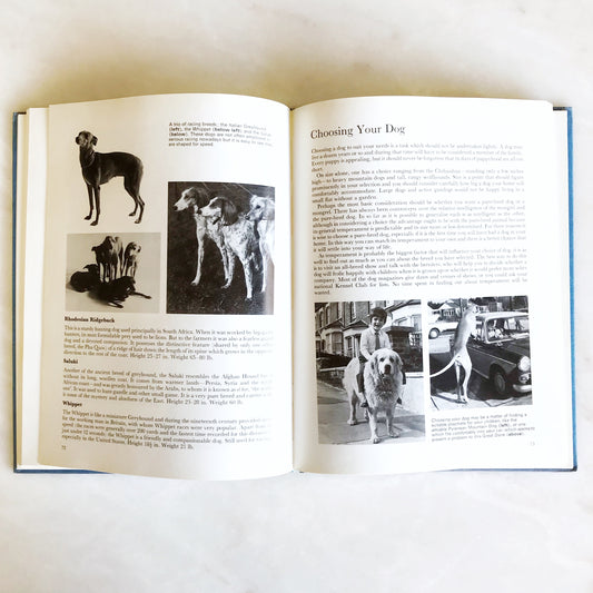 Book: The Beauty of Dogs