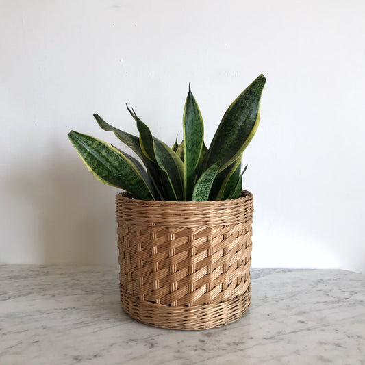 Vintage Wicker Plant Basket