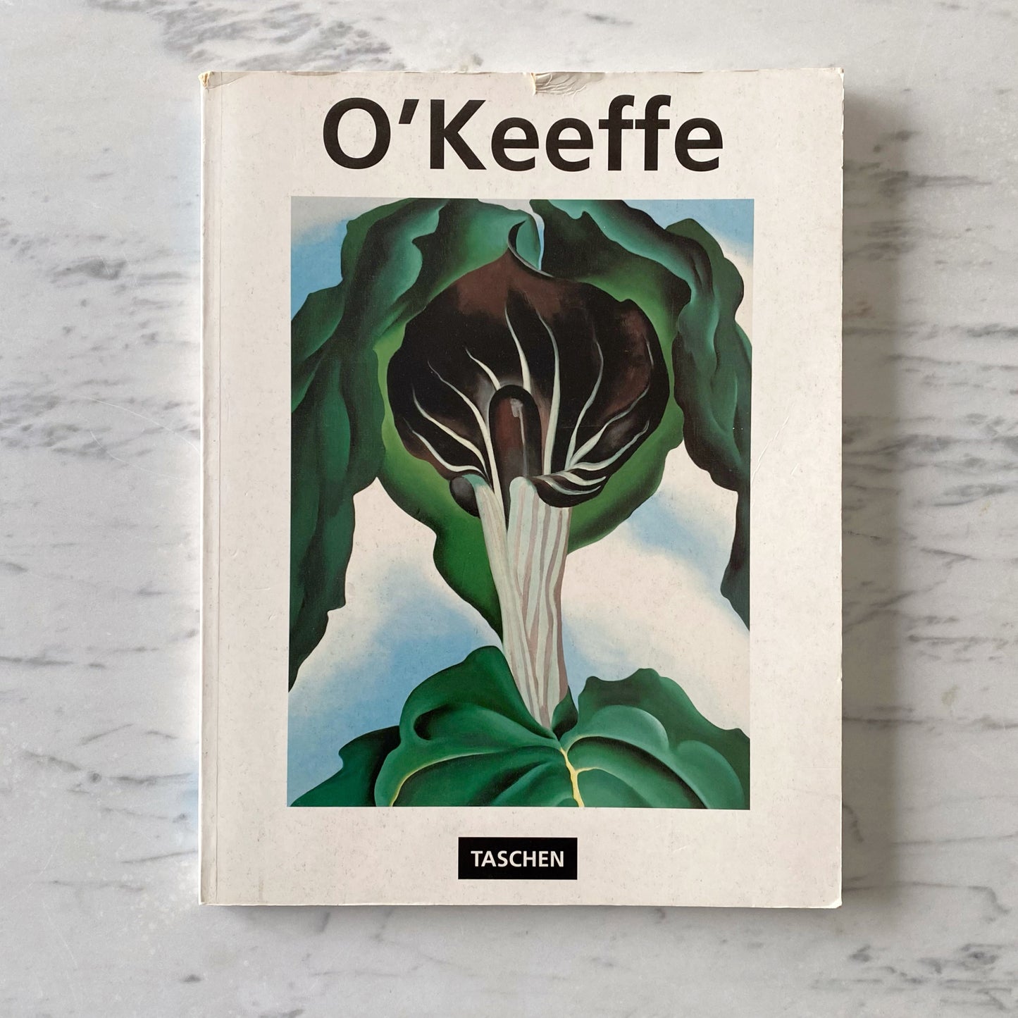 Book: Georgia O'Keeffe: Flowers in the Desert