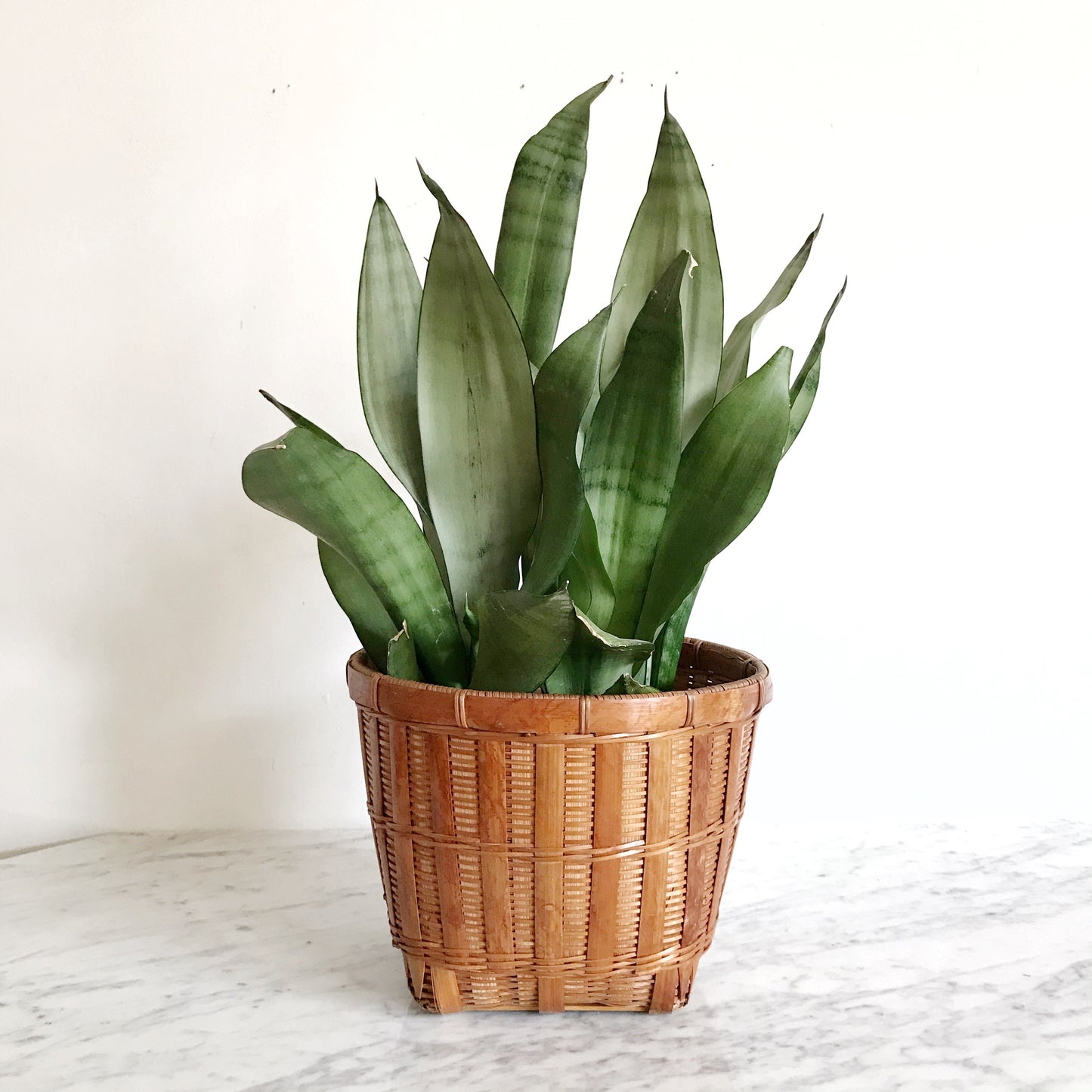 Small Vintage Wicker Basket