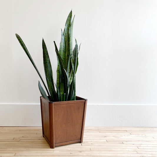 Antique Wood Bin / Planter