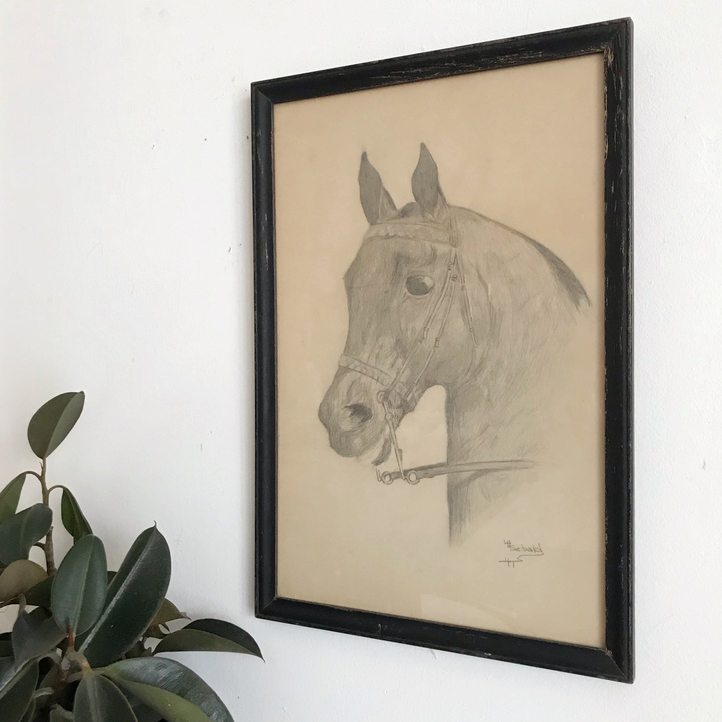 Vintage Original Pencil Drawing, Horse Portrait