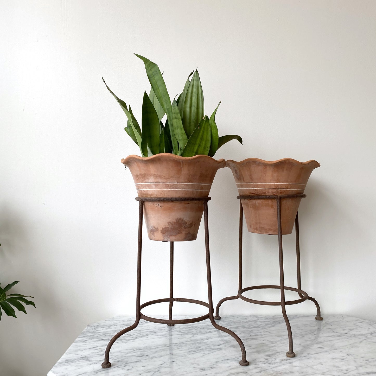 Single Vintage Terracotta Planter with Iron Stand