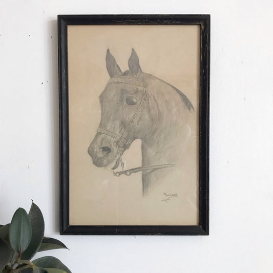 Vintage Original Pencil Drawing, Horse Portrait