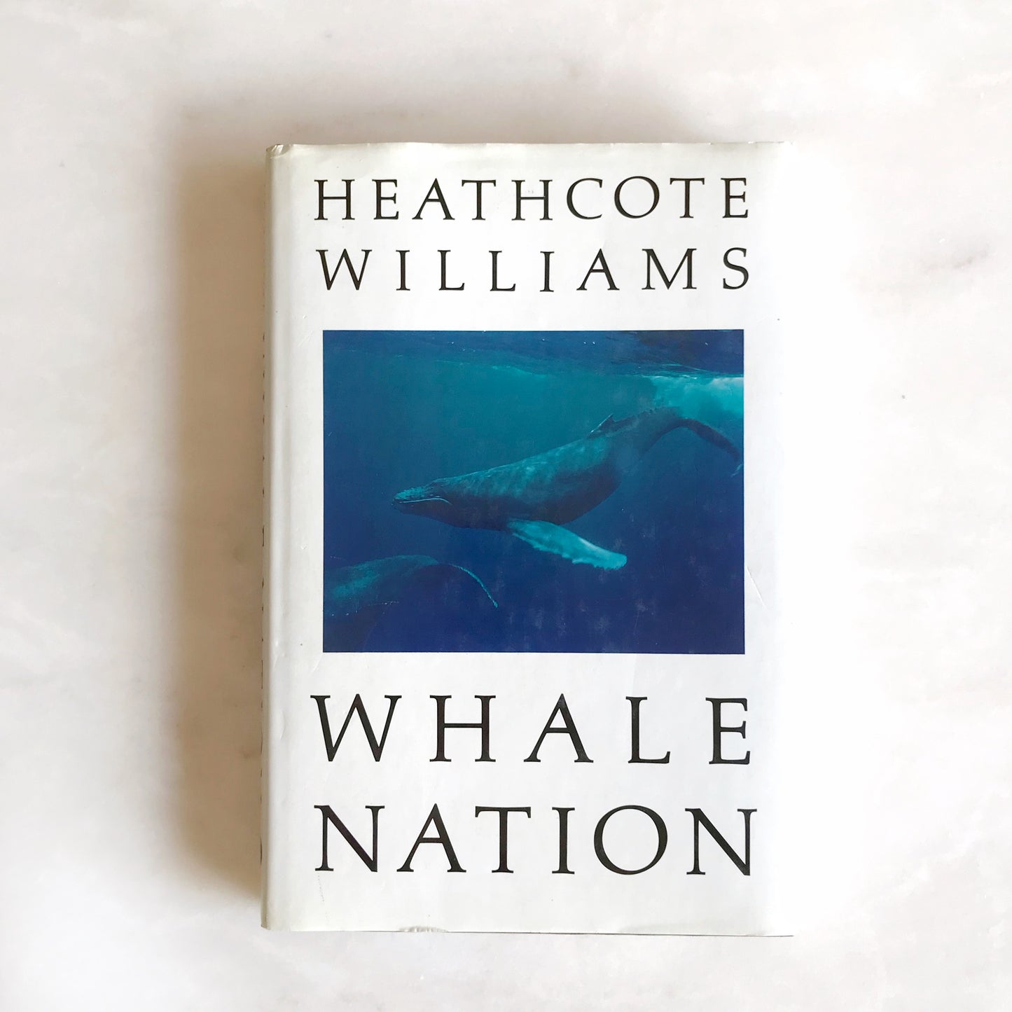 Book: Whale Nation