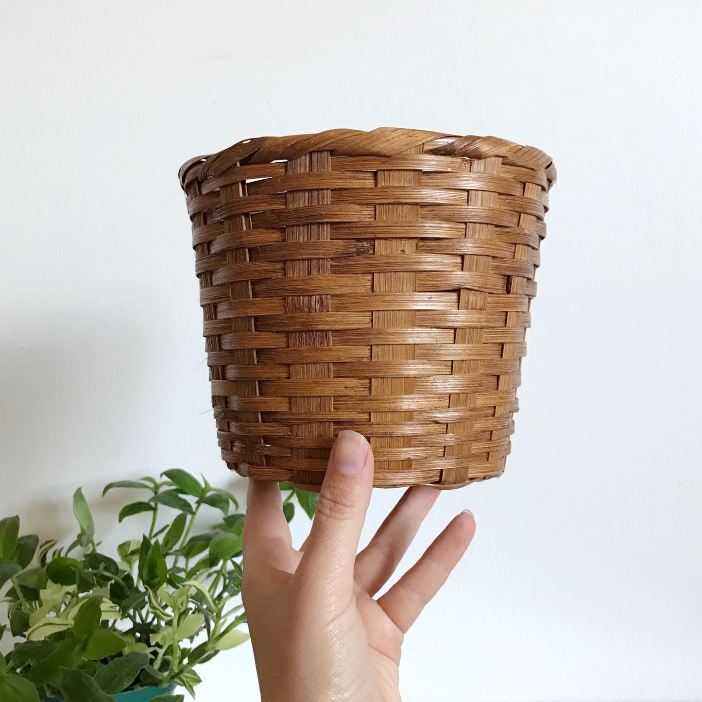 Small Vintage Basket, Plant Sleeve