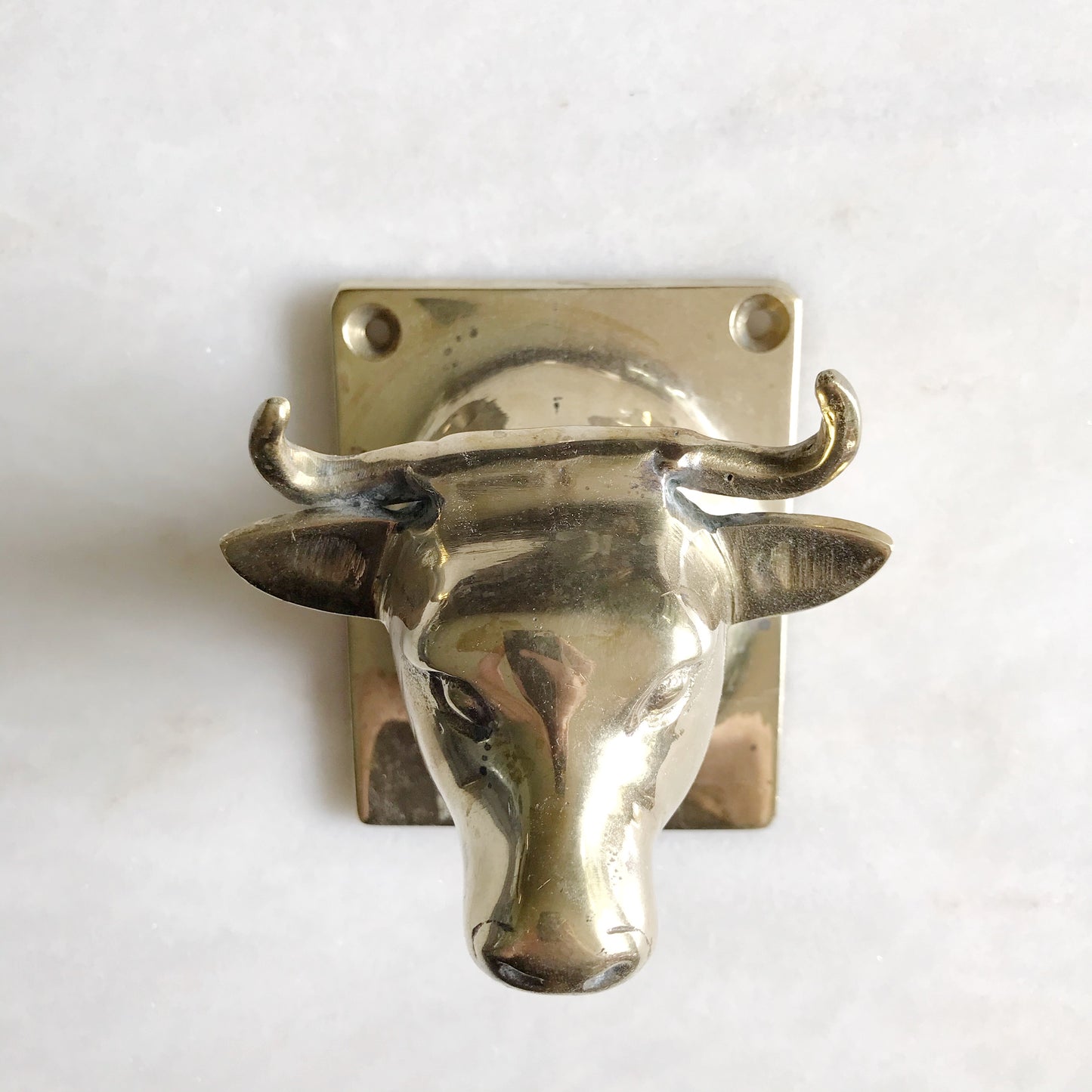 XL Vintage Brass Bull Wall Hook