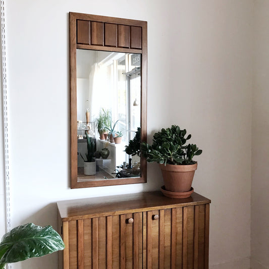 Vintage Modern Cabinet and Mirror Set