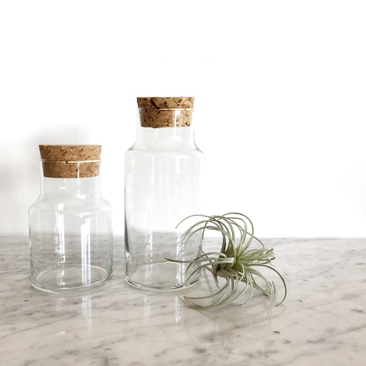 Pair of Vintage Glass Decanters