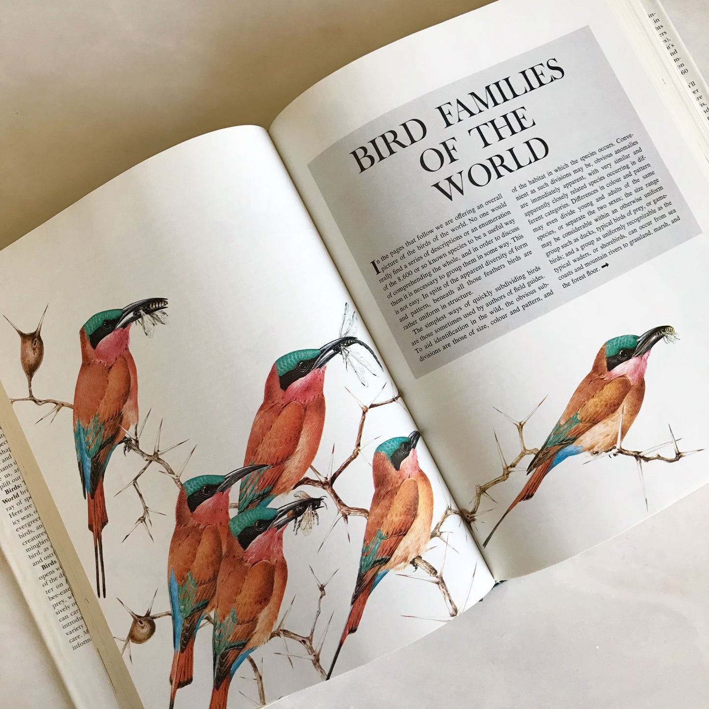 BIRDS: Their Life, Their Ways, Their World