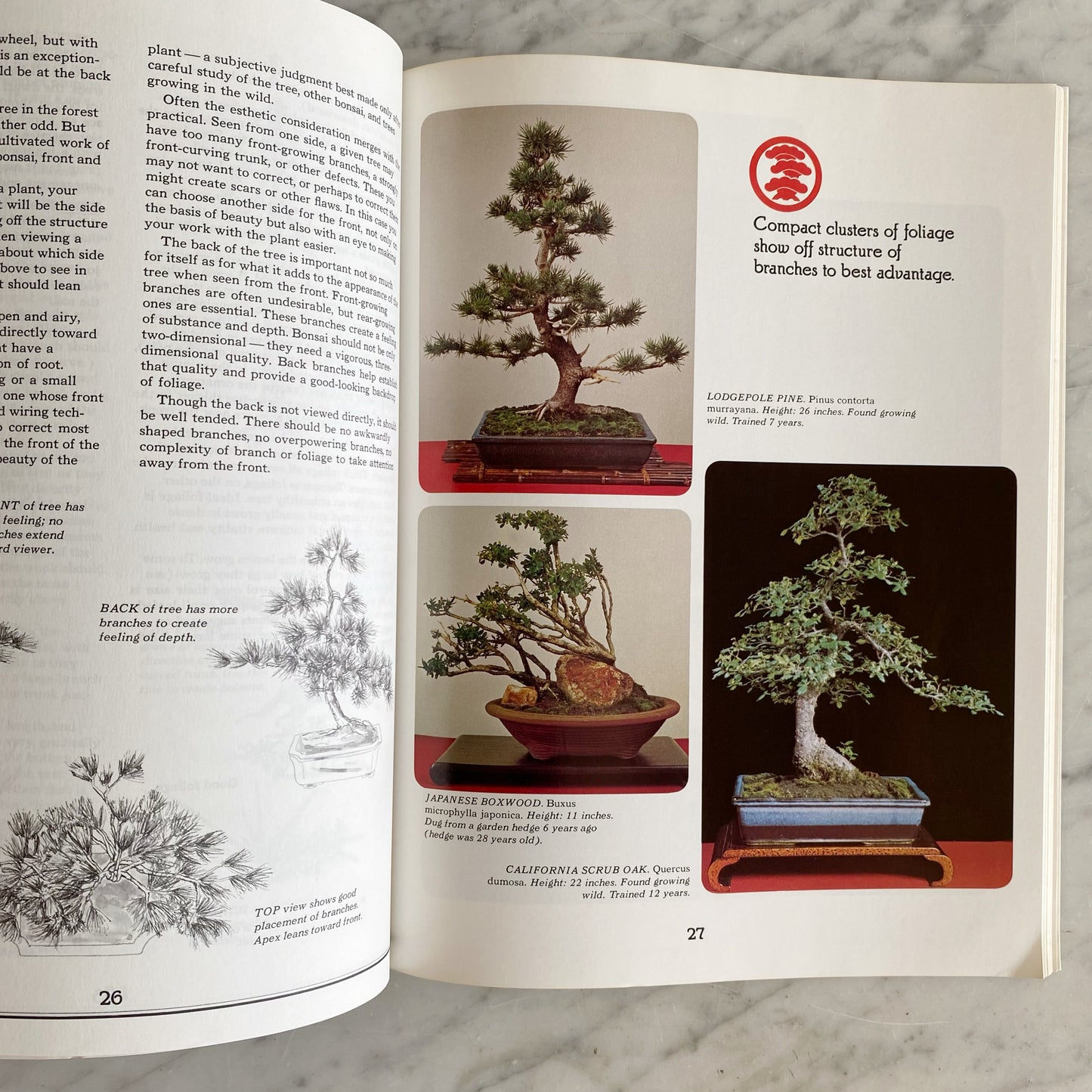 Book: Bonsai, An Illustrated Guide to the Ancient Art