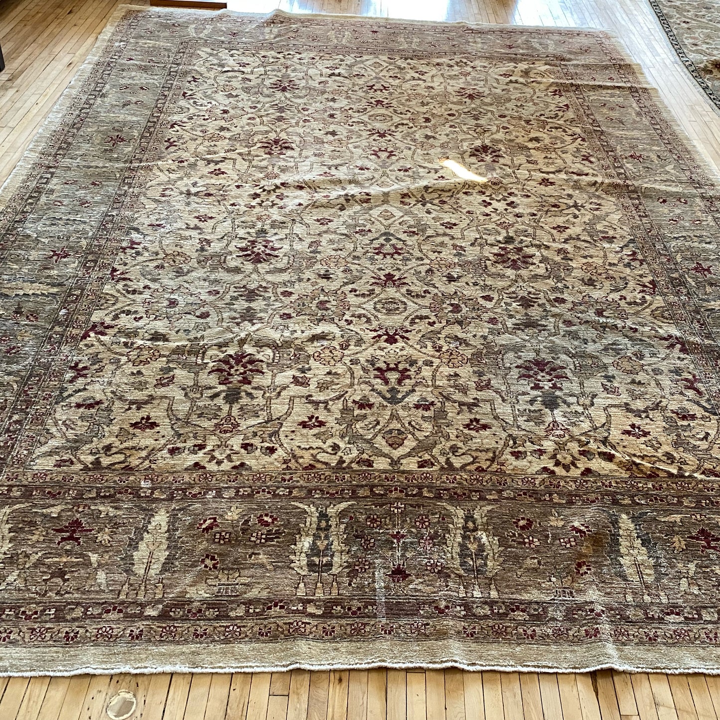 CICELY Hand-knotted Wool Area Rug (9'2" x 12'9")