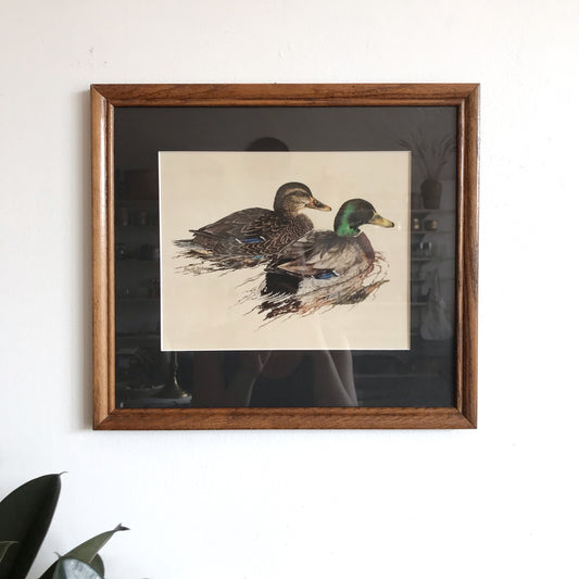 Pair of Vintage Framed Duck Prints