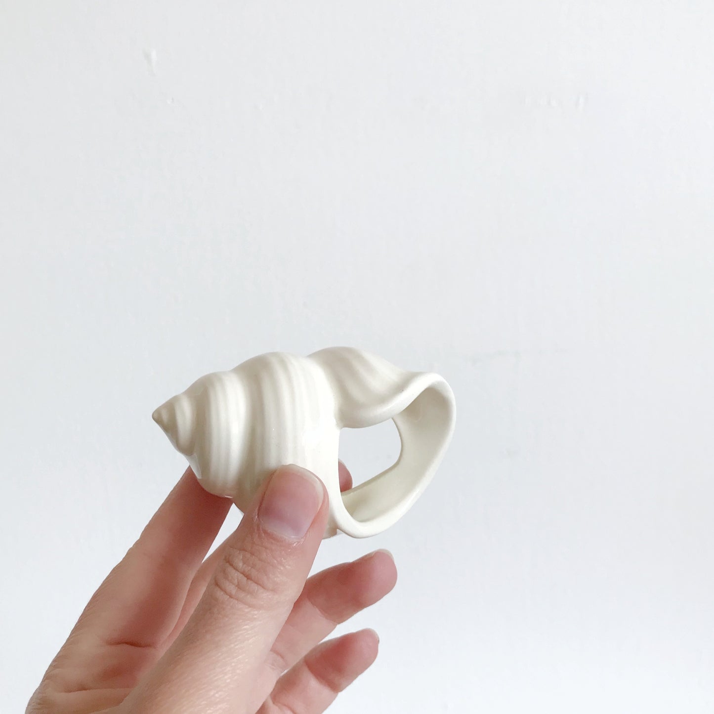 Set of 6 Ceramic Shell Napkin Rings