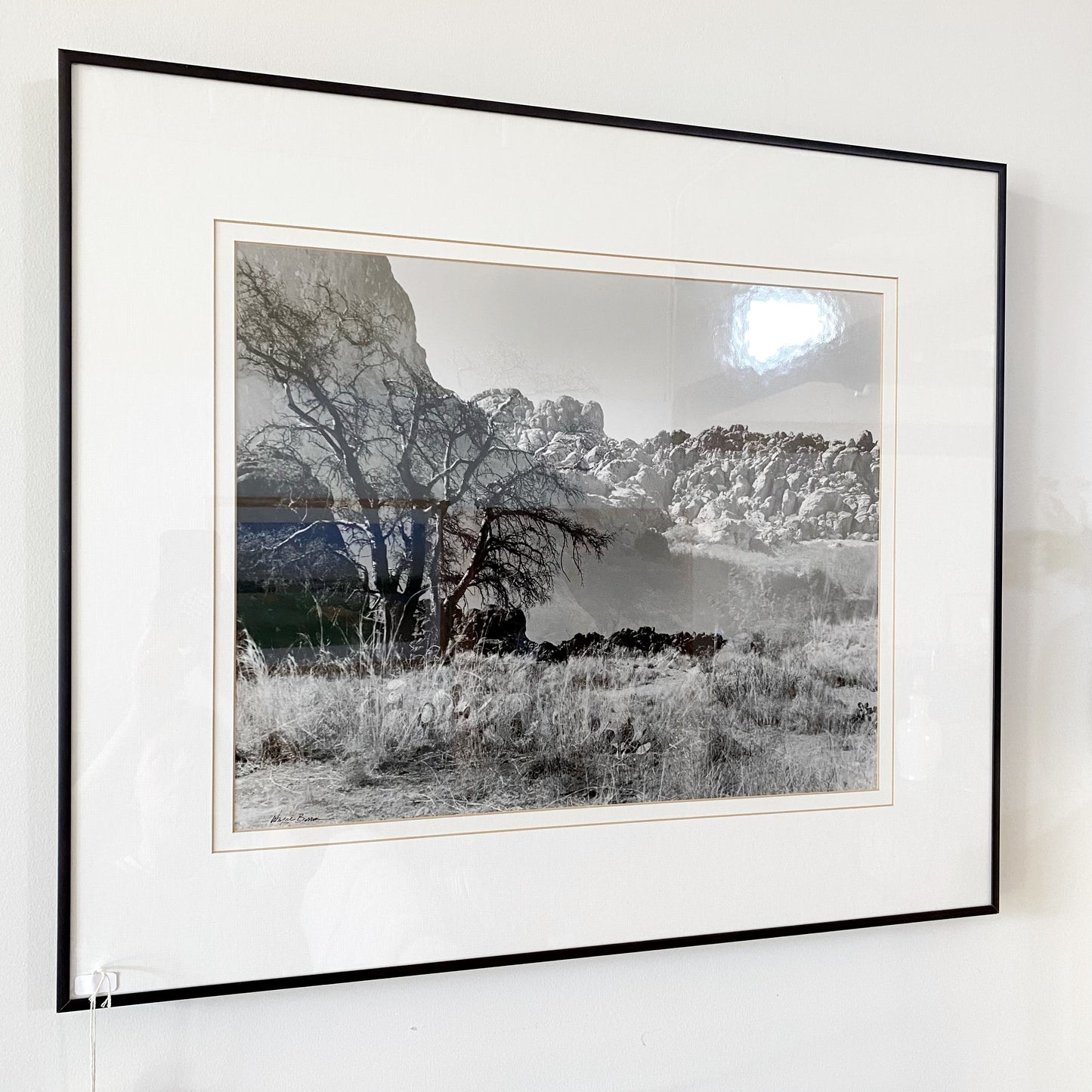 Framed Large-scale B&W Landscape Photograph