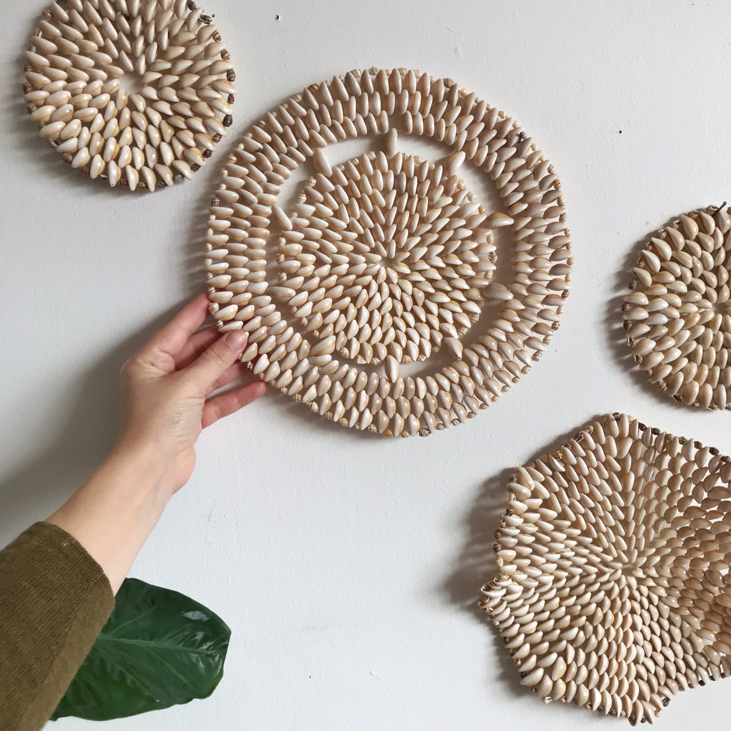 Collection of Vintage Shell Trivets