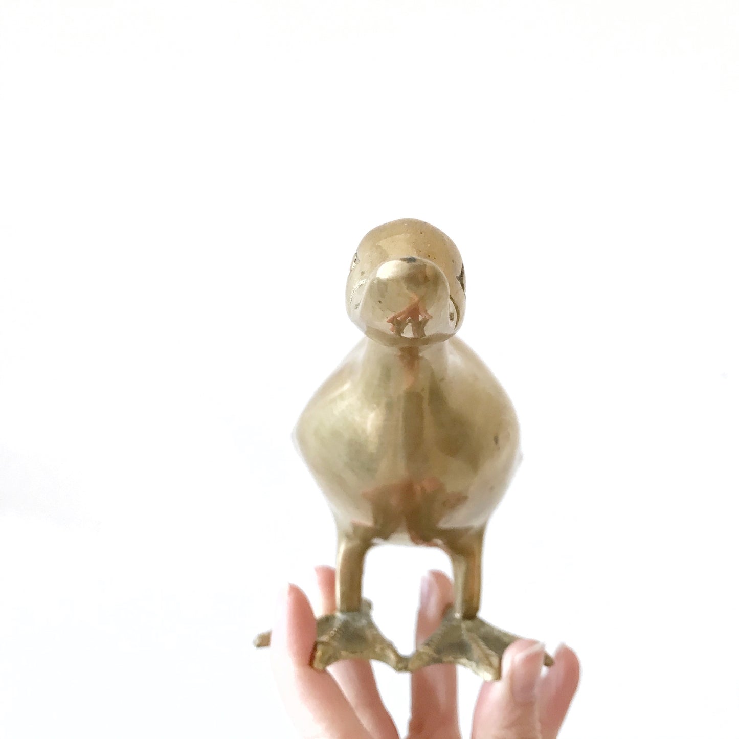 Pair of Large Brass Ducks