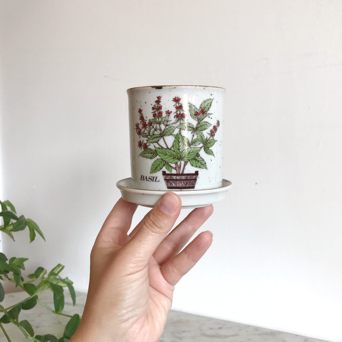 Vintage Ceramic  “Basil” Planter, Japan