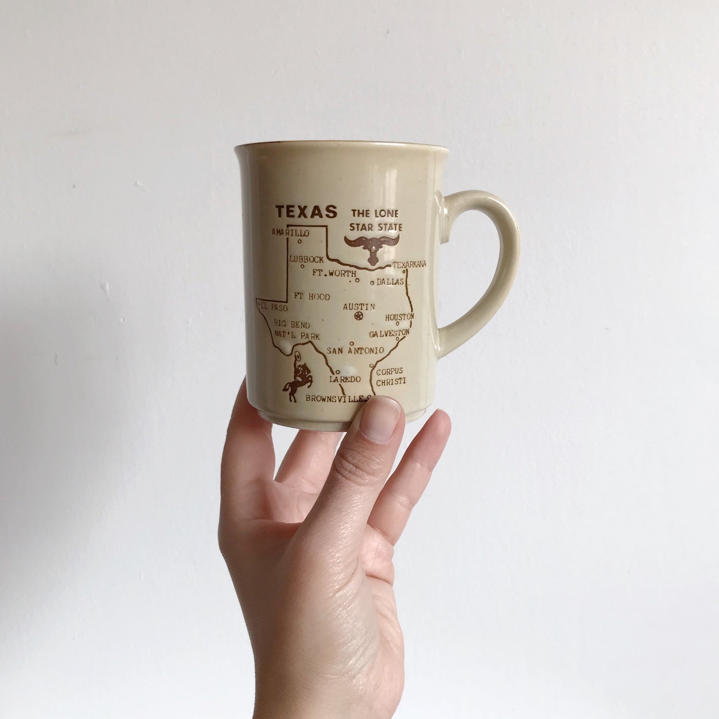 Vintage Texas Souvenir Mug
