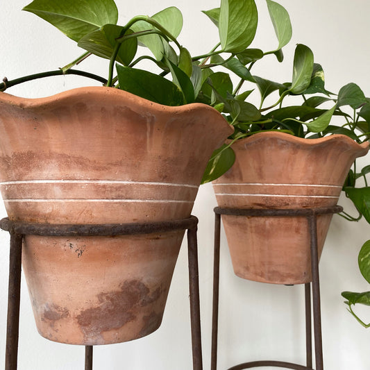 Single Vintage Terracotta Planter with Iron Stand